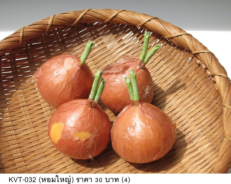 泰国传统竹编篮