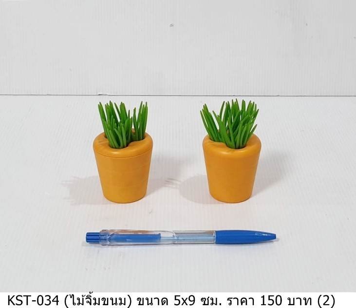 迷你盆栽