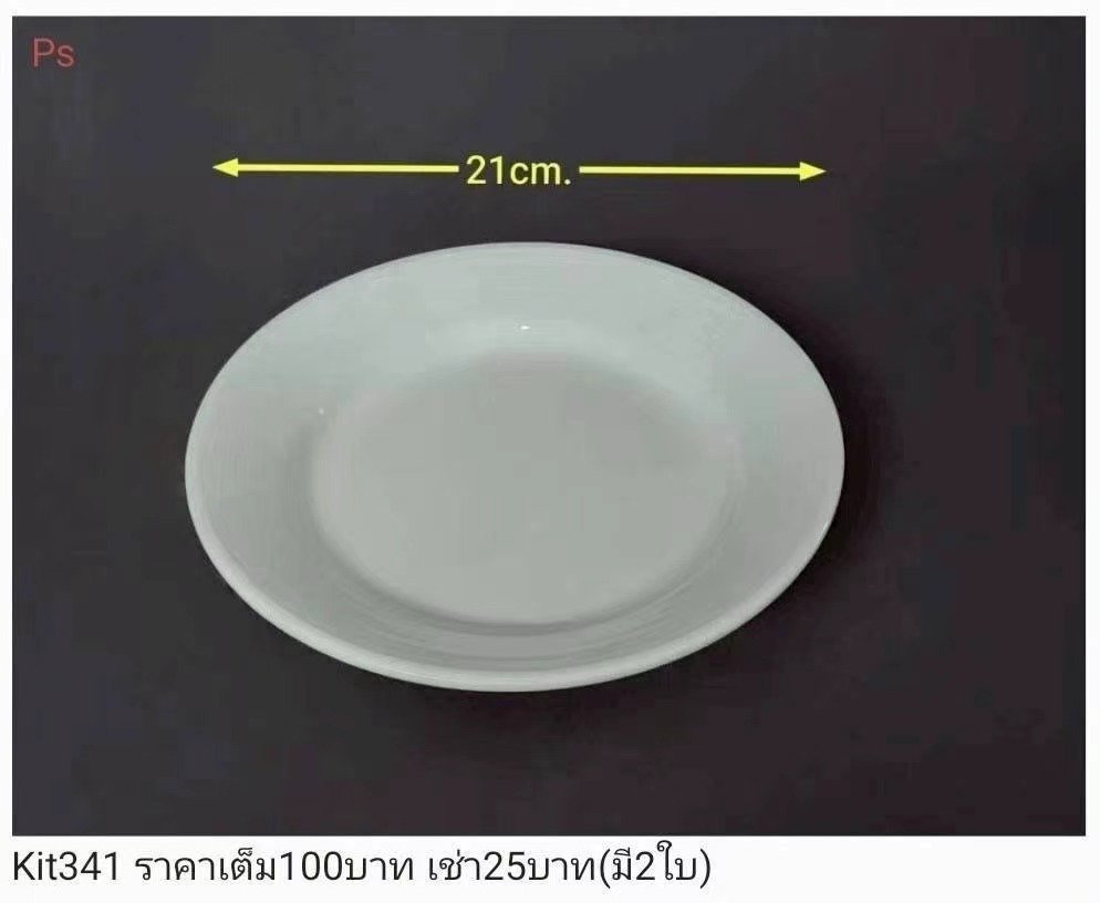 白色陶瓷盘