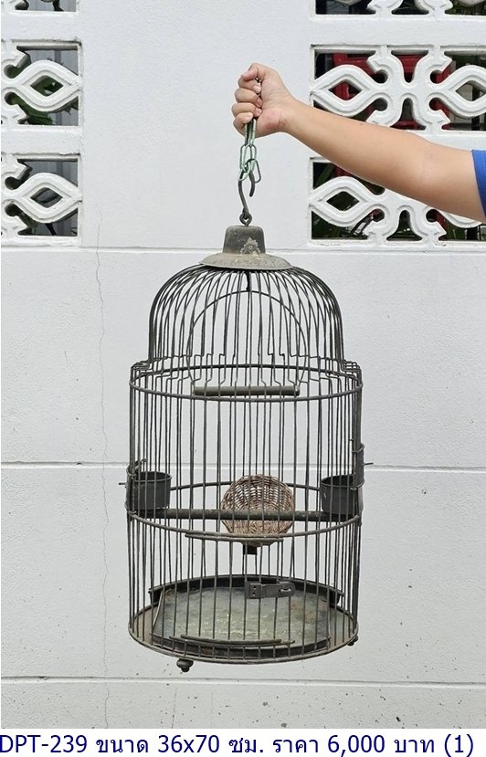 鸟笼