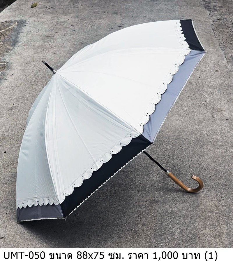 雨伞