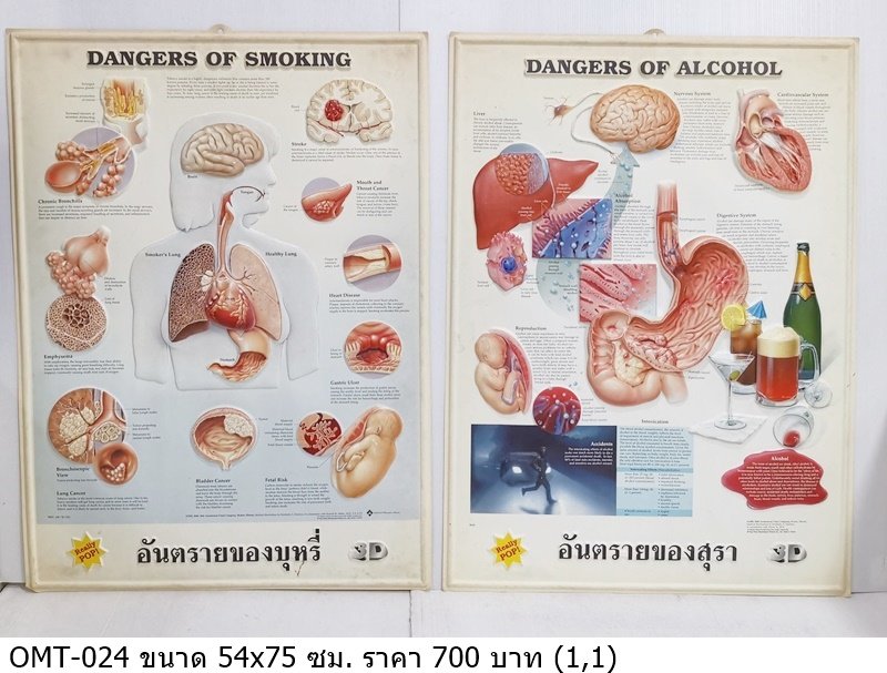 吸烟和饮酒的危害海报