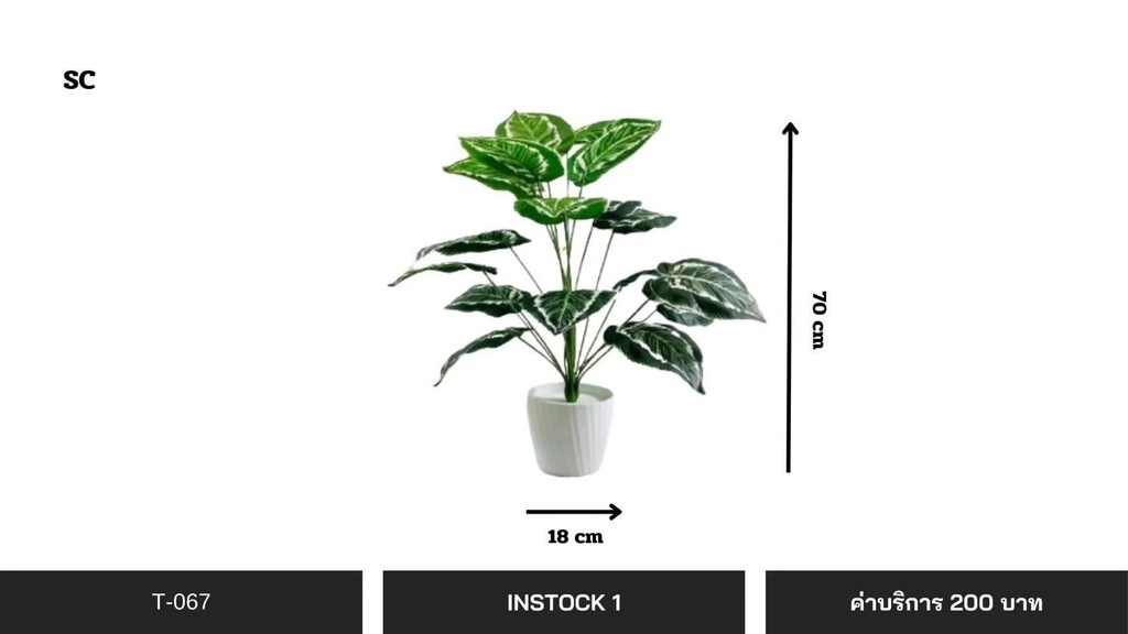 仿真植物