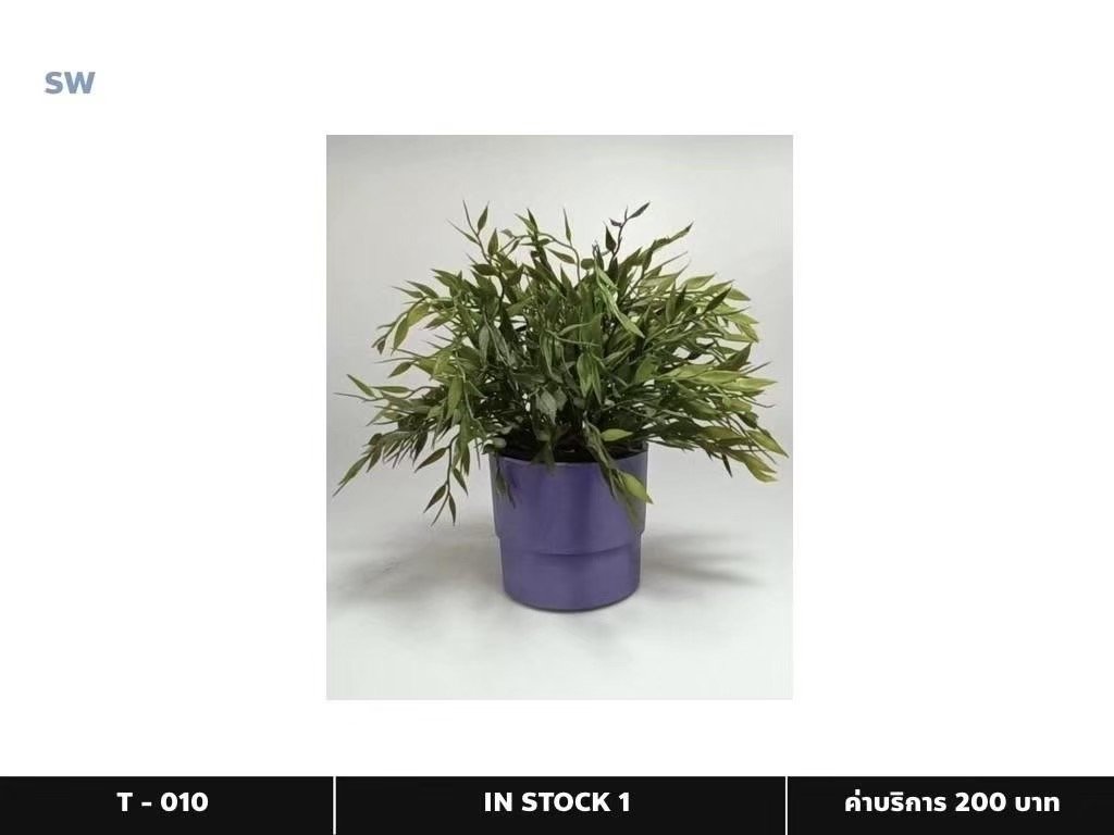 盆栽植物