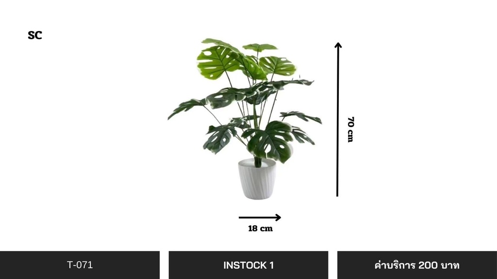 仿真植物