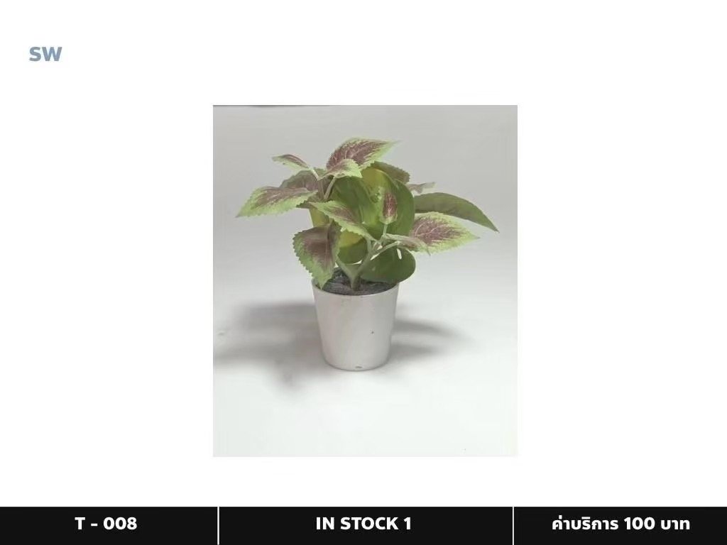 盆栽植物
