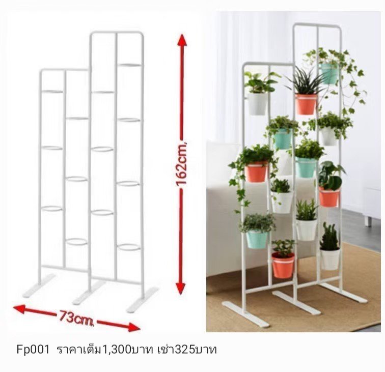 植物架