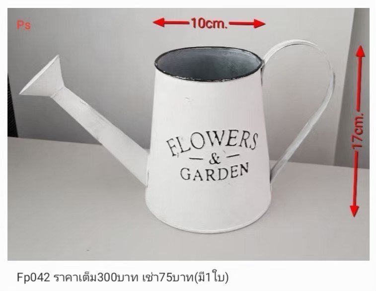 铁质浇水壶