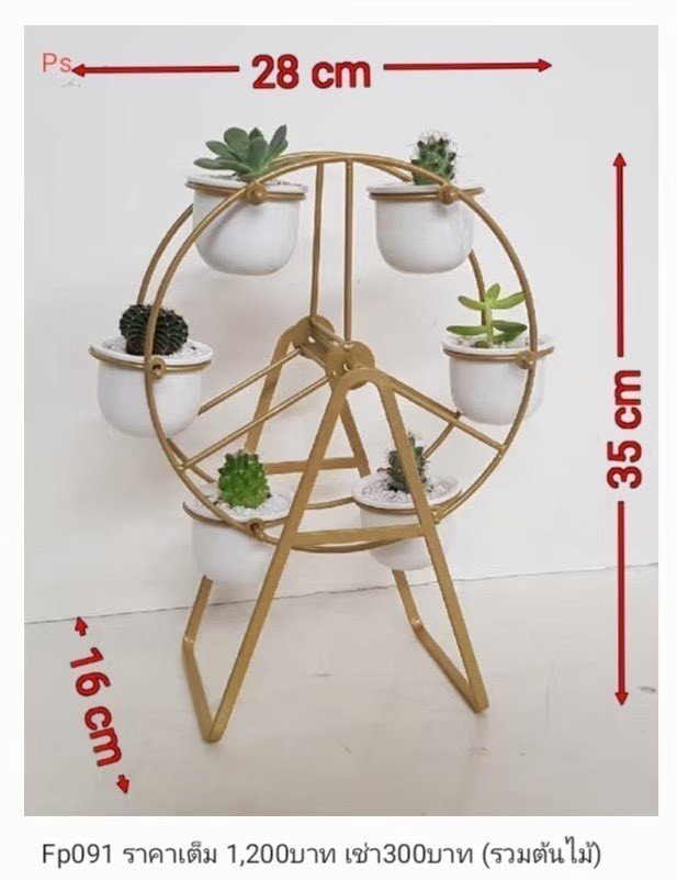 多肉植物展示架