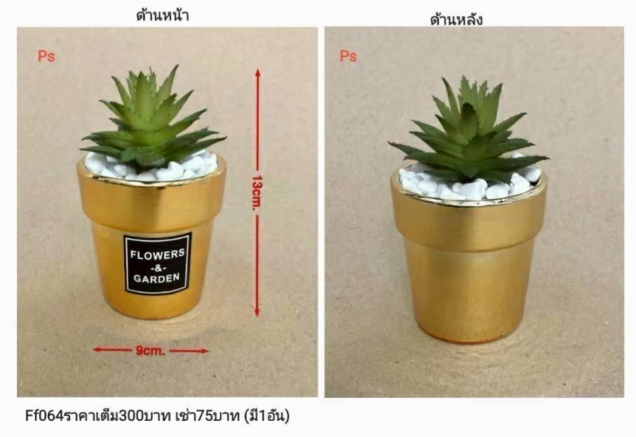 金色陶瓷花盆