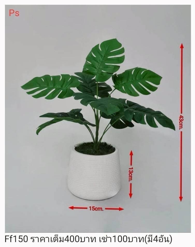 仿真植物