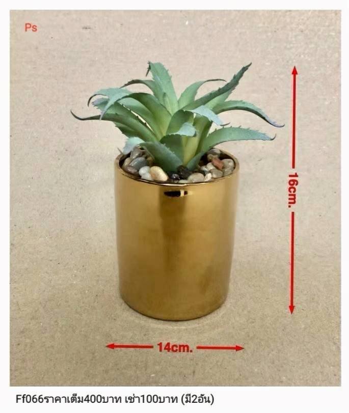 金色金属花盆