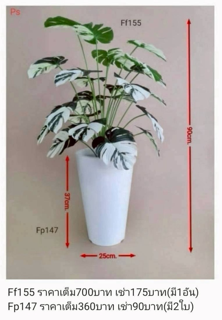 仿真植物