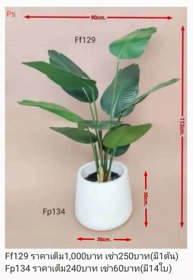 仿真绿植