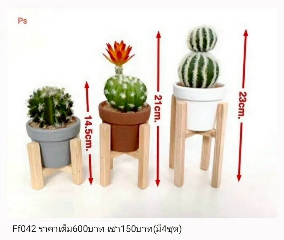 多肉植物支架