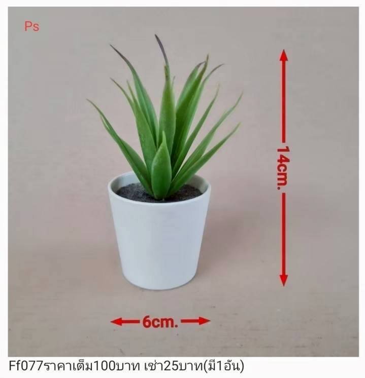 仿真植物