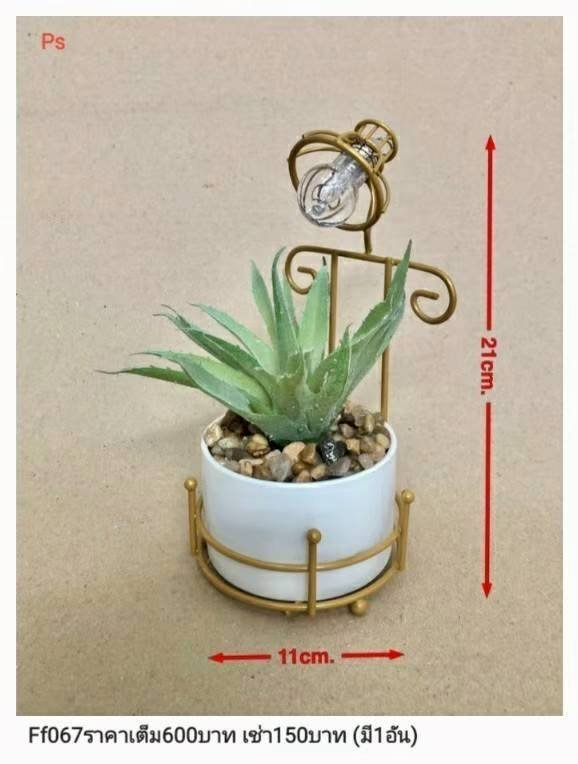 多肉植物灯架