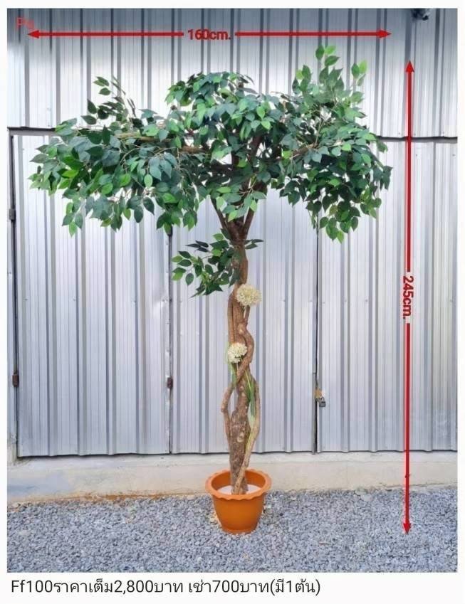 仿真树