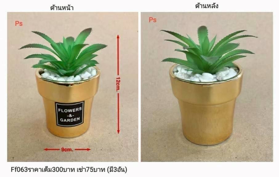仿真多肉植物