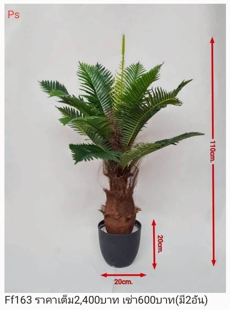 仿真苏铁植物