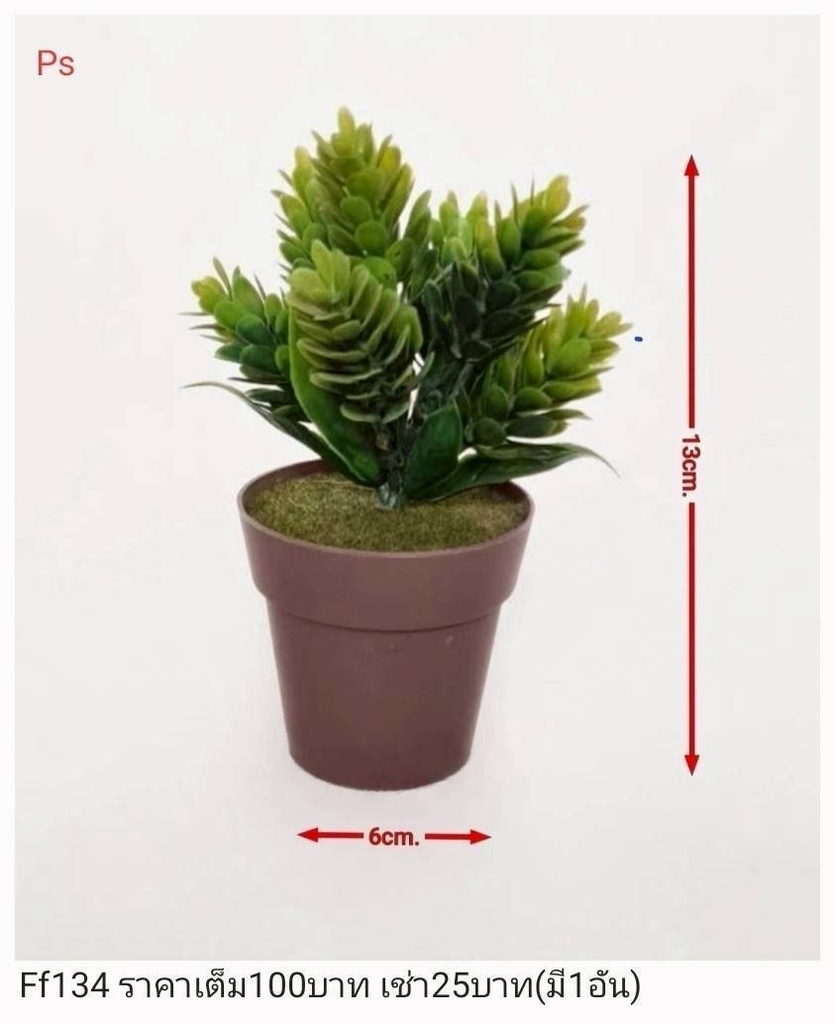 仿真多肉植物