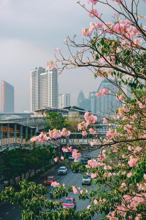 BKK-0023